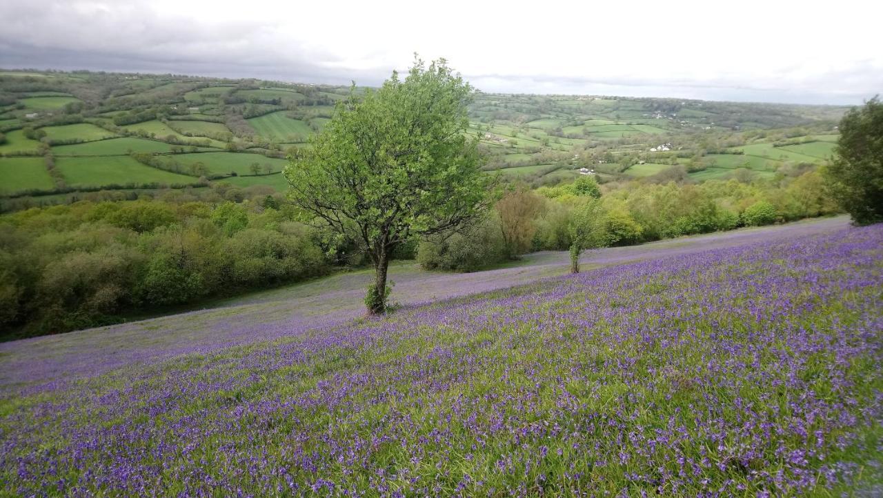 Orchard Barn, Woodhayes Villa Honiton Ngoại thất bức ảnh