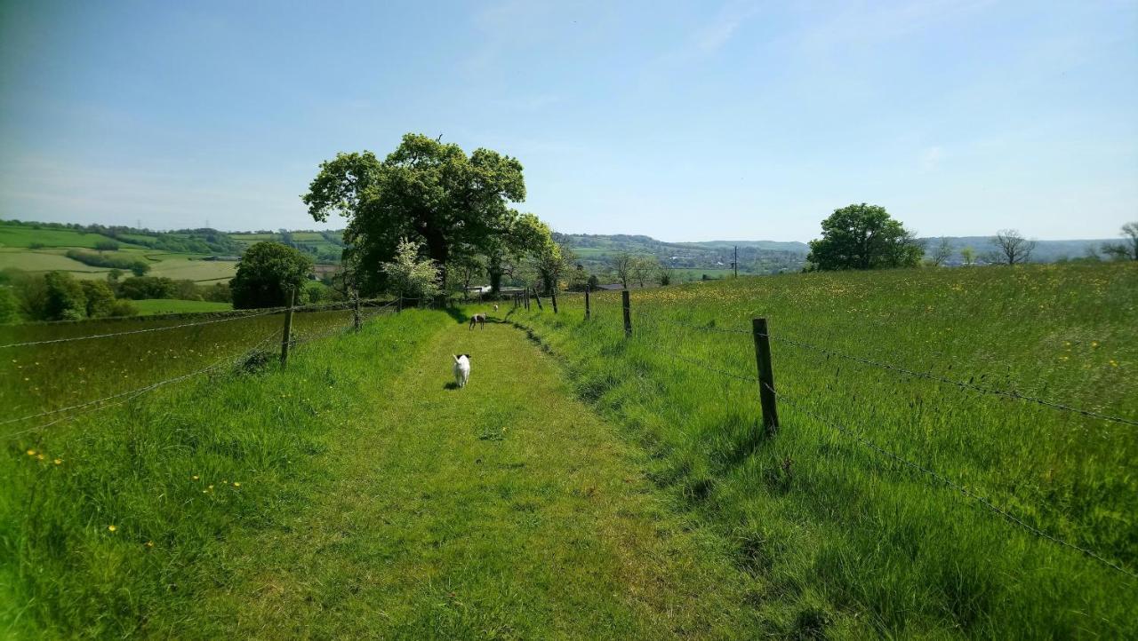 Orchard Barn, Woodhayes Villa Honiton Ngoại thất bức ảnh