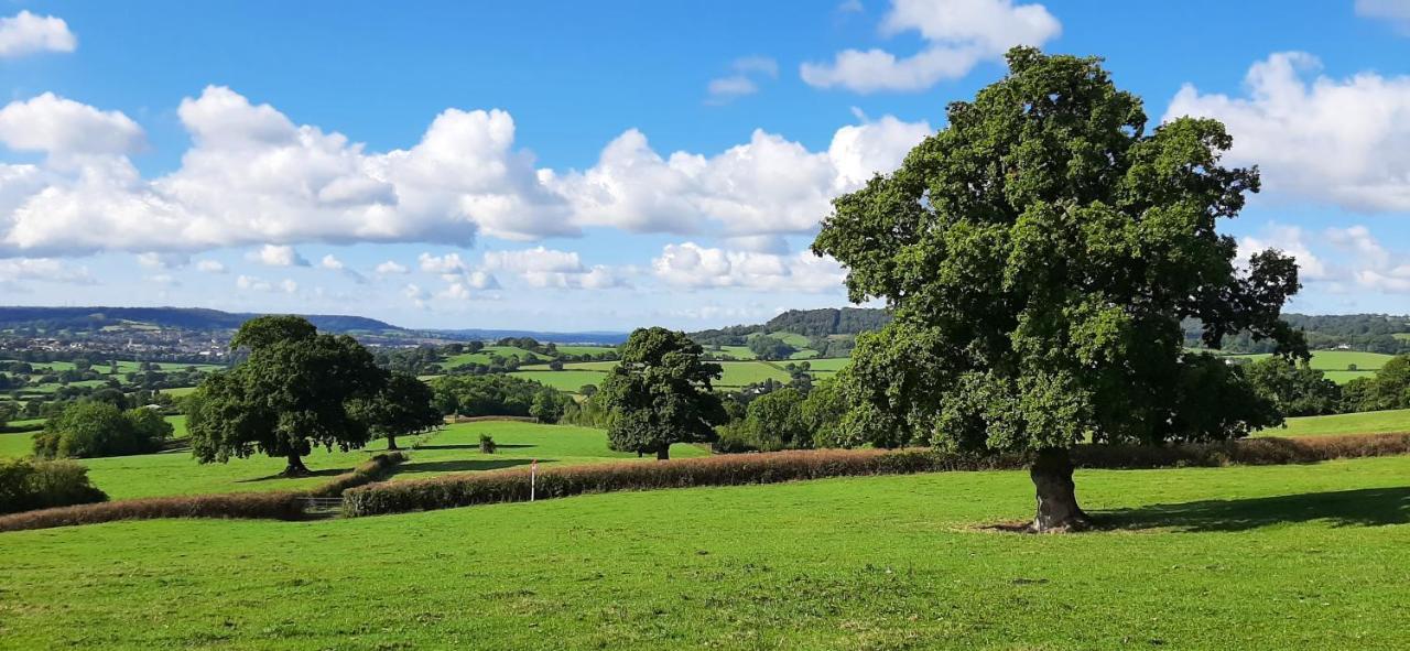 Orchard Barn, Woodhayes Villa Honiton Ngoại thất bức ảnh