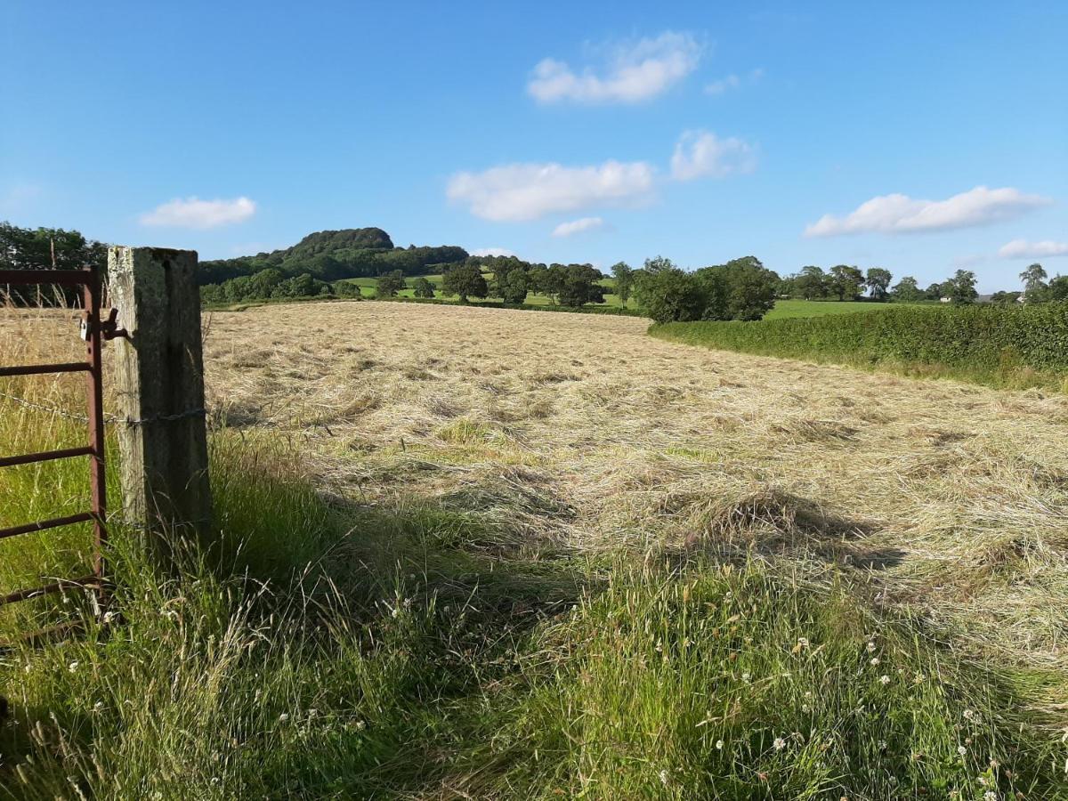 Orchard Barn, Woodhayes Villa Honiton Ngoại thất bức ảnh