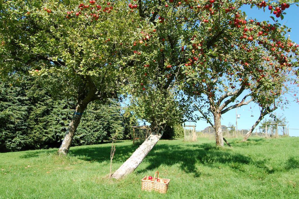 Orchard Barn, Woodhayes Villa Honiton Ngoại thất bức ảnh