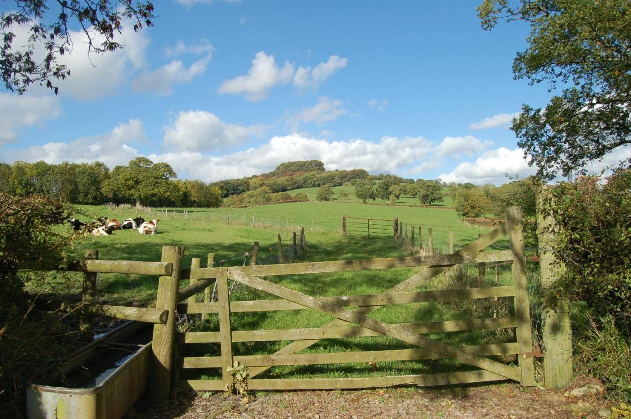 Orchard Barn, Woodhayes Villa Honiton Phòng bức ảnh
